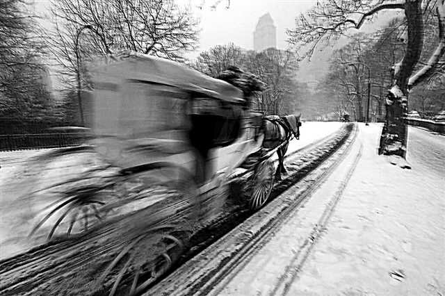 30 gambar Central Park yang menawan pada musim sejuk