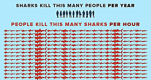 Tayangan infografik yang menakjubkan siapa yang membunuh siapa dalam pertempuran ikan yu berbanding manusia